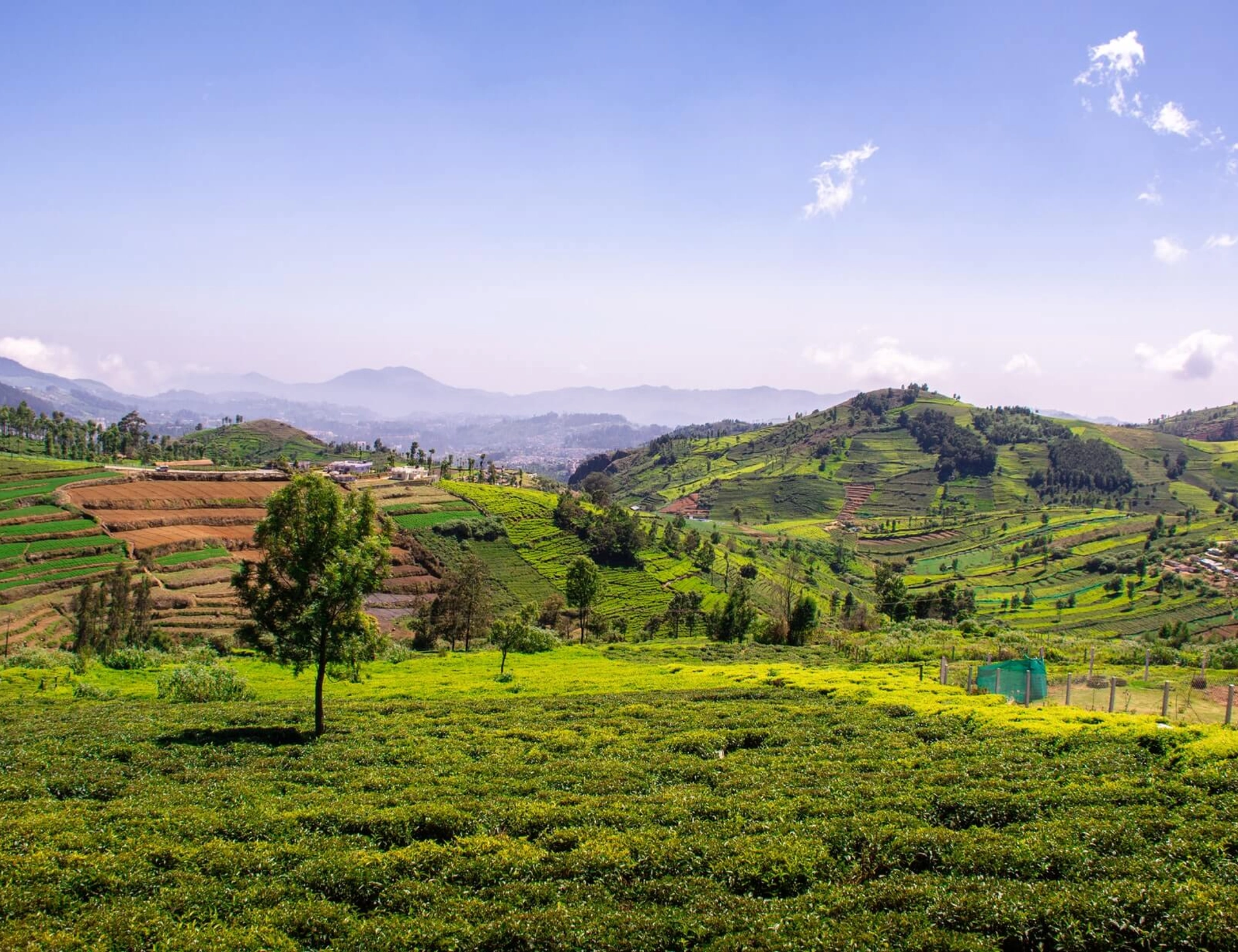 16 Days Southern India Coast to Coast Cycling Tour